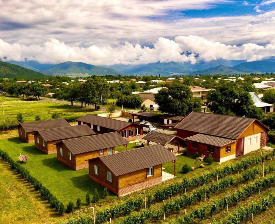 Finca Idoize Camping Hotel Akhmeta 외부 사진