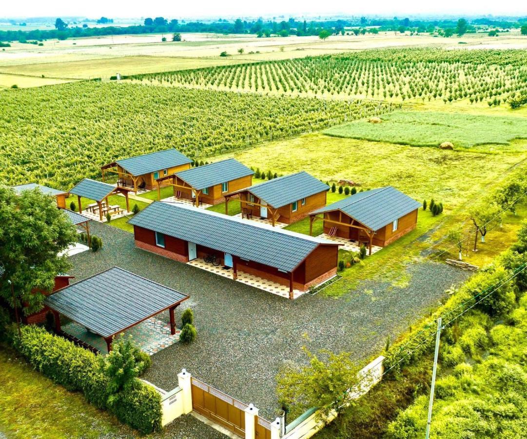 Finca Idoize Camping Hotel Akhmeta 외부 사진