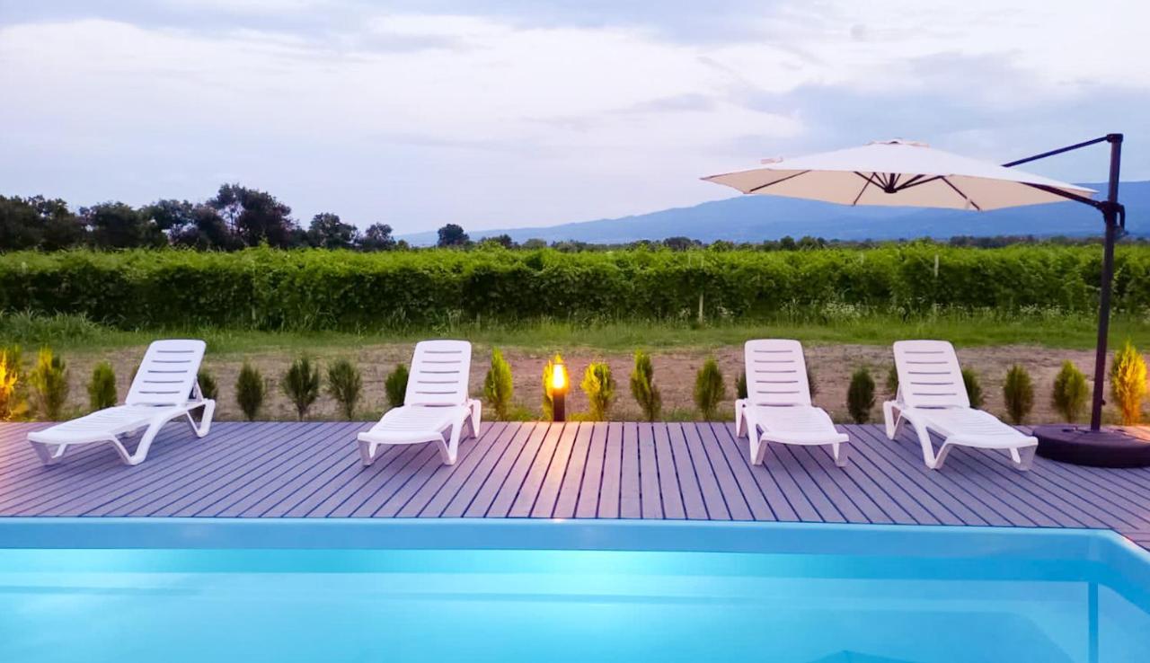 Finca Idoize Camping Hotel Akhmeta 외부 사진